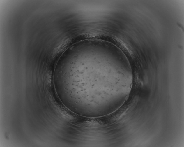 X0000093110545200709261252