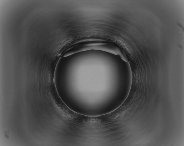 X0000093110546200709261252