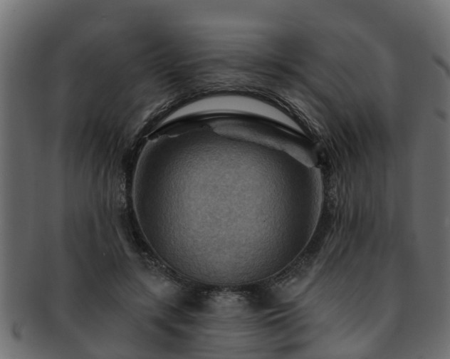 X0000093110547200709261252