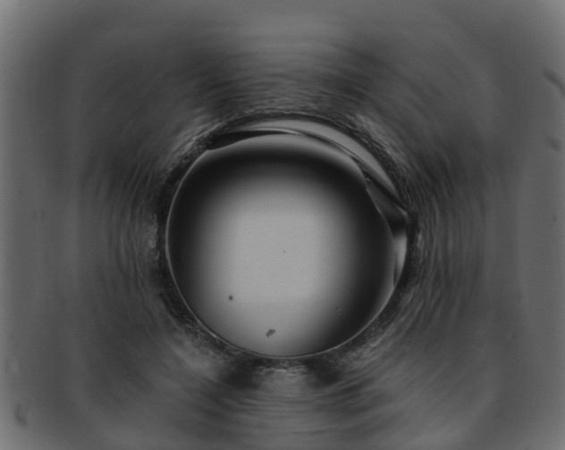 X0000093110548200709261252