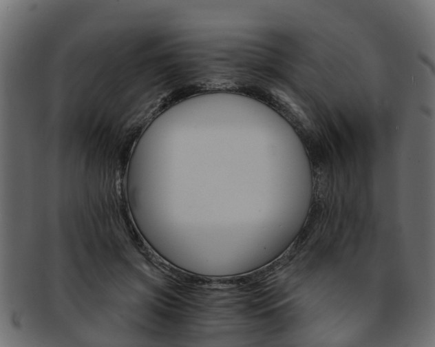 X0000093110549200709261252