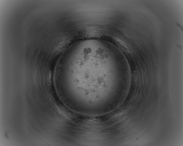 X0000093110550200709261252