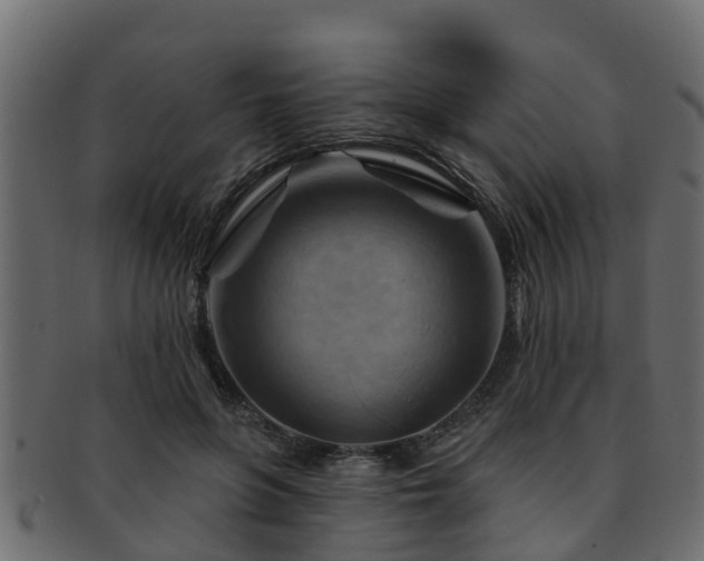 X0000093110551200709261252
