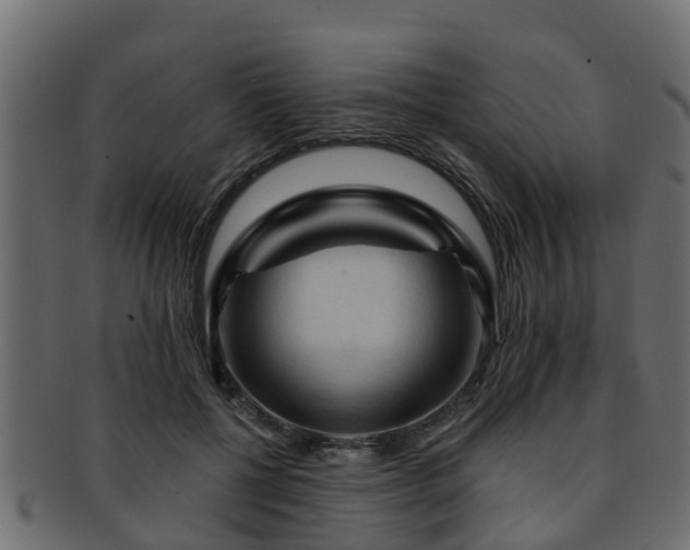 X0000093110552200709261252