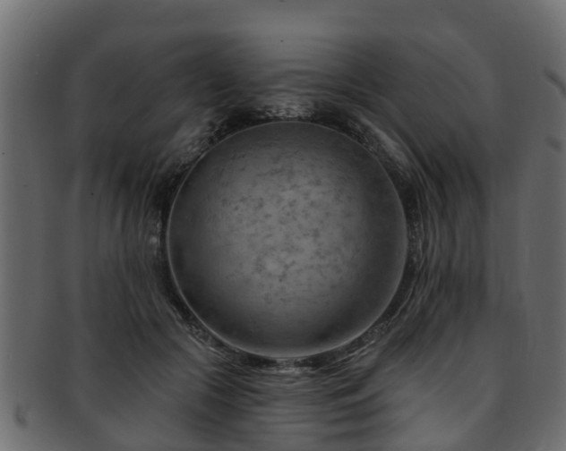 X0000093110553200709261253