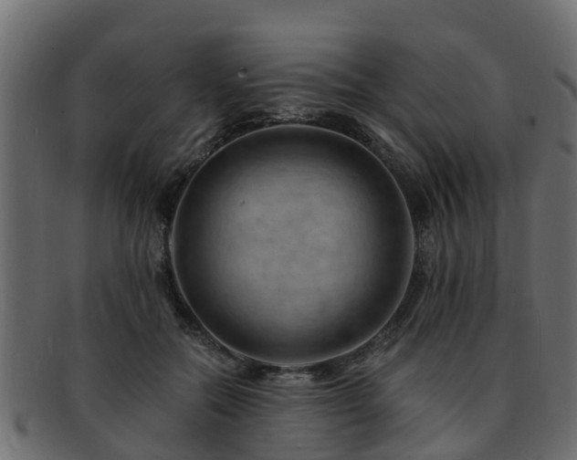 X0000093110554200709261253