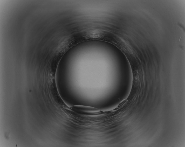 X0000093110555200709261253
