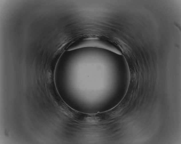 X0000093110556200709261253