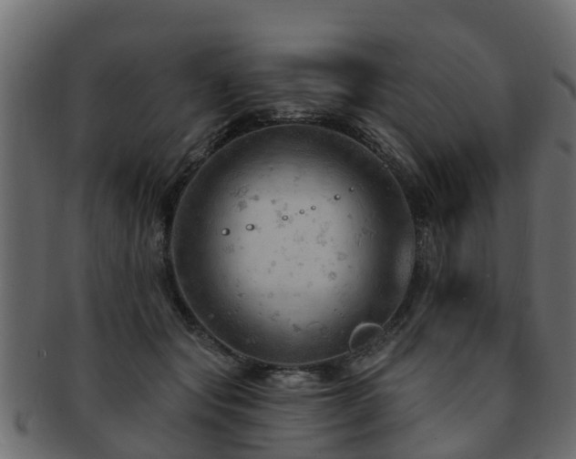 X0000093110557200709261253