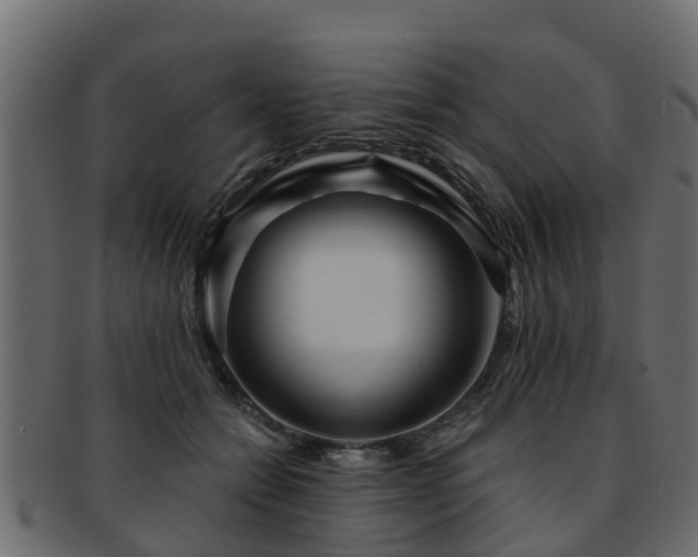 X0000093110558200709261253