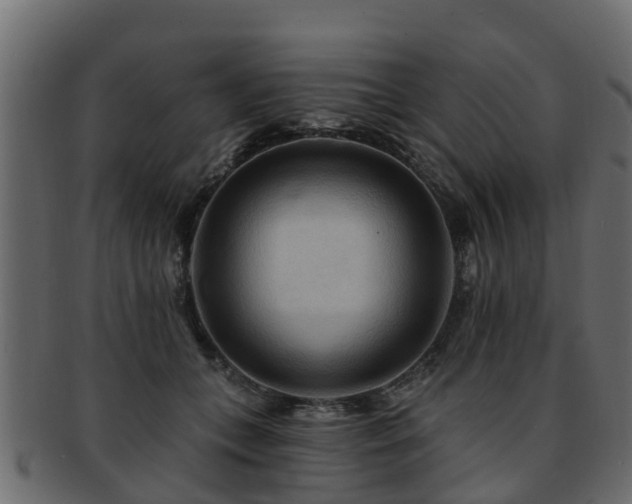 X0000093110559200709261253