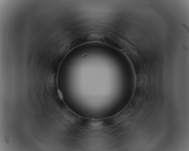 X0000093110560200709261253