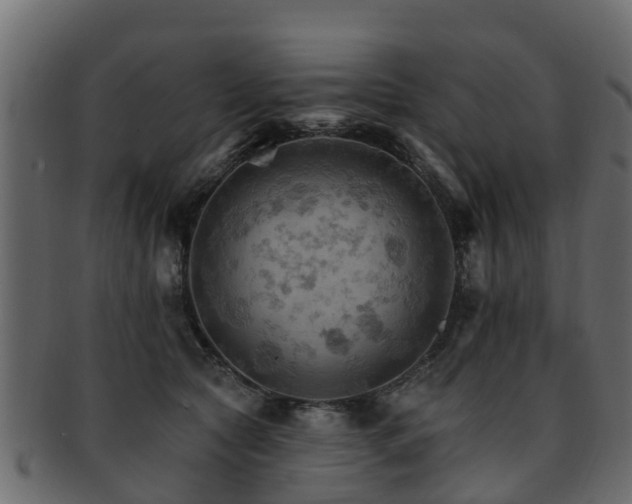X0000093110561200709261253