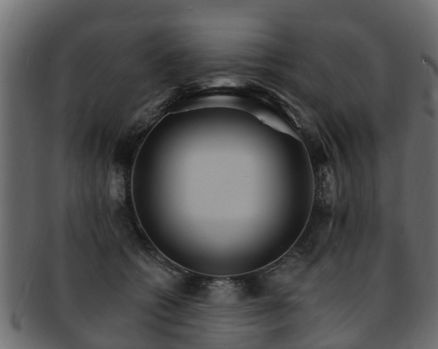 X0000093110562200709261253