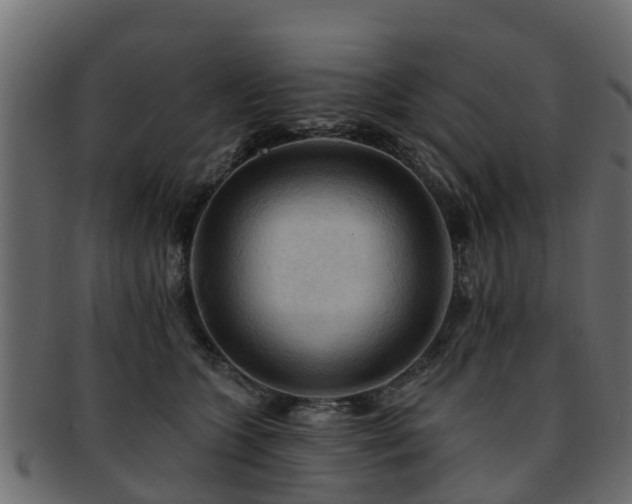 X0000093110563200709261253