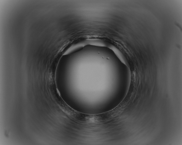 X0000093110564200709261253