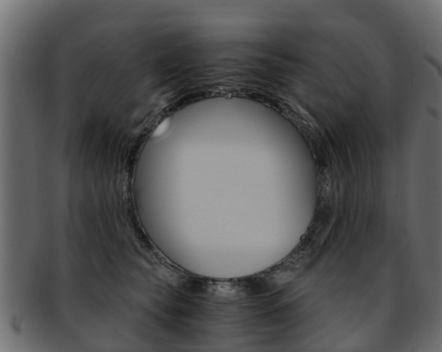 X0000093110565200709261253