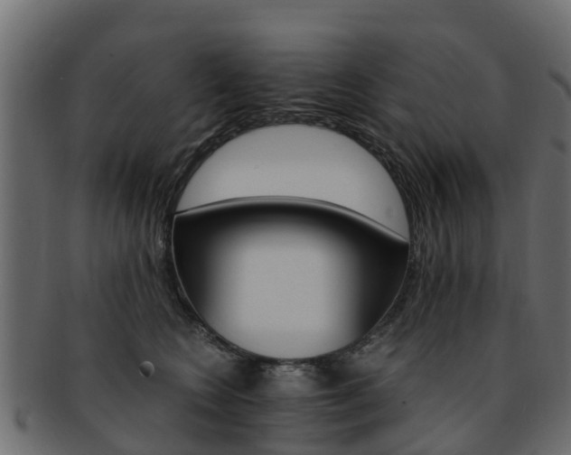X0000093110566200709261253