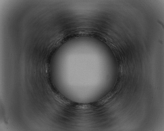 X0000093110567200709261253