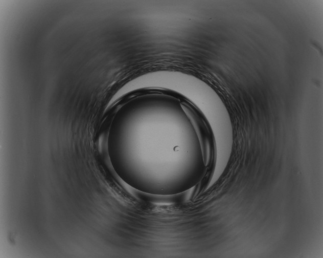 X0000093110568200709261253