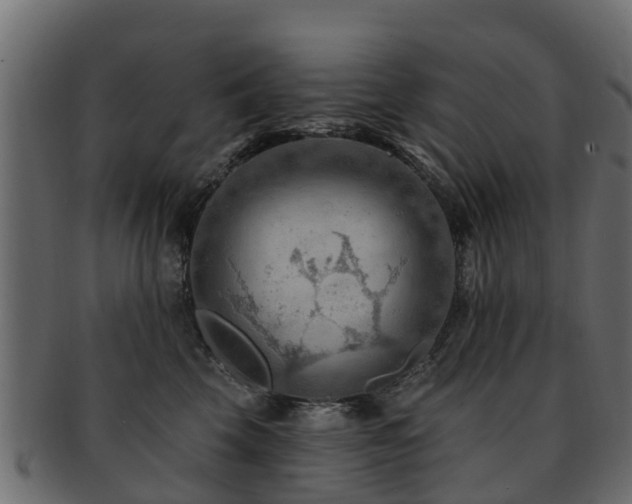 X0000093110569200709261253