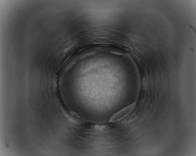 X0000093110570200709261253
