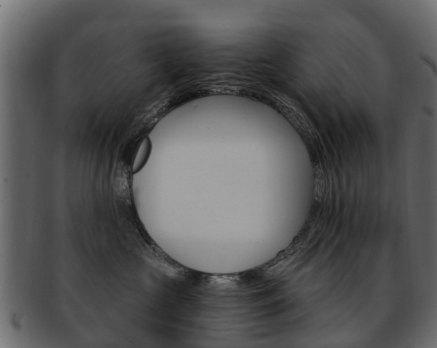 X0000093110573200709261253
