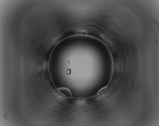 X0000093110574200709261253