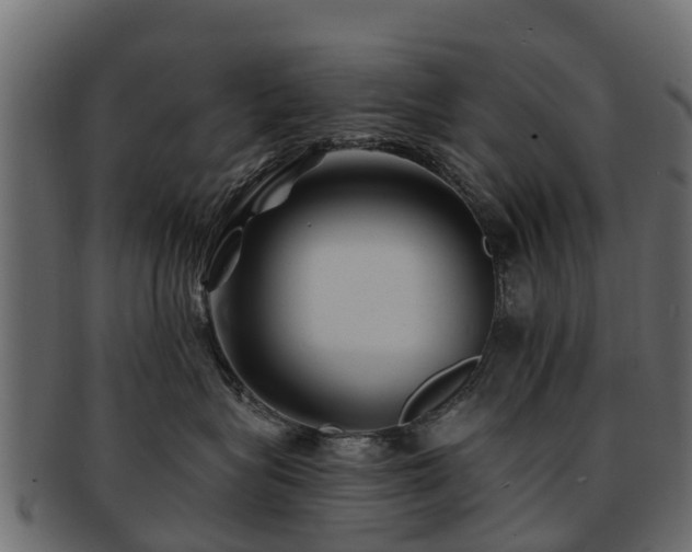 X0000093110575200709261253