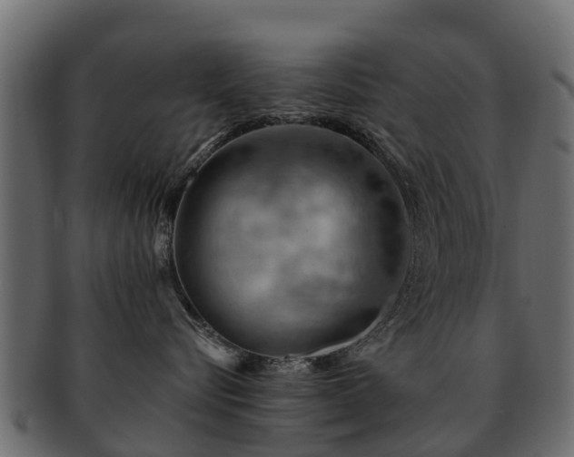 X0000093110576200709261253