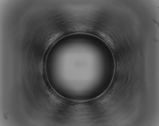 X0000093110578200709261252