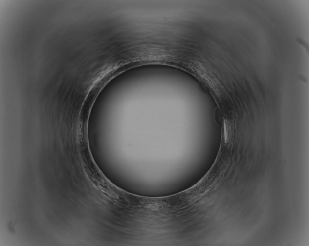 X0000093110579200709261252