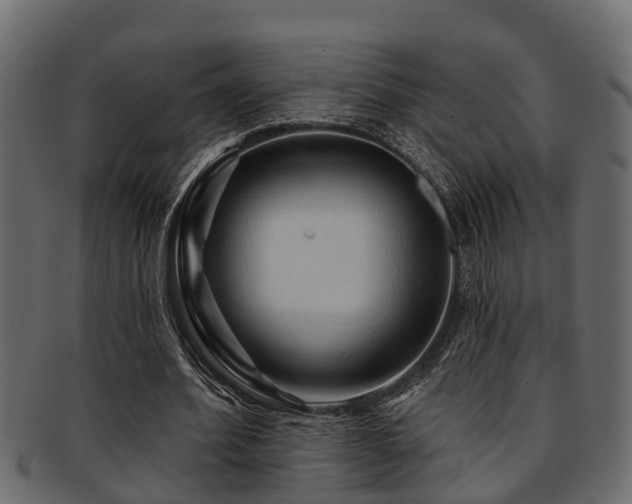 X0000093110580200709261252