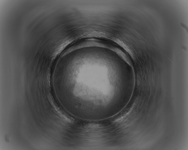 X0000093110581200709261252