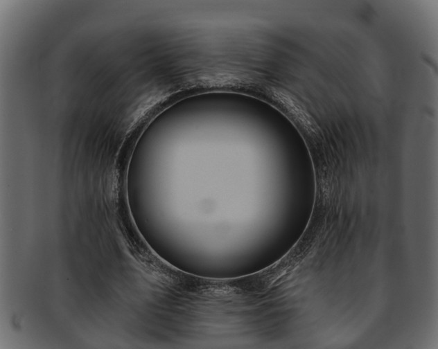 X0000093110583200709261252