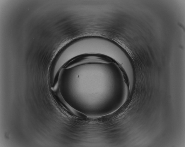 X0000093110584200709261252