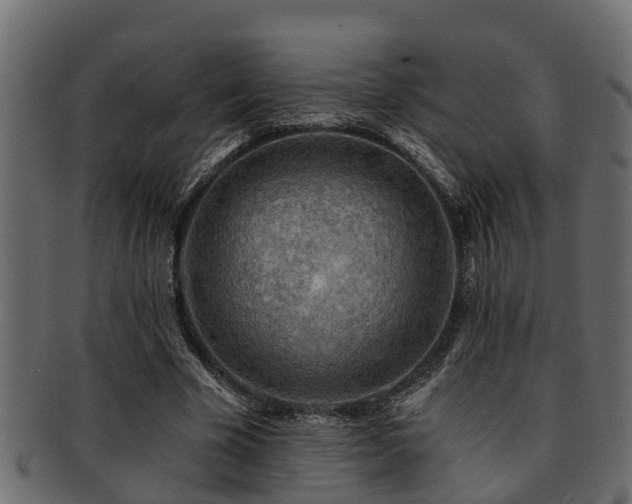 X0000093110585200709261252