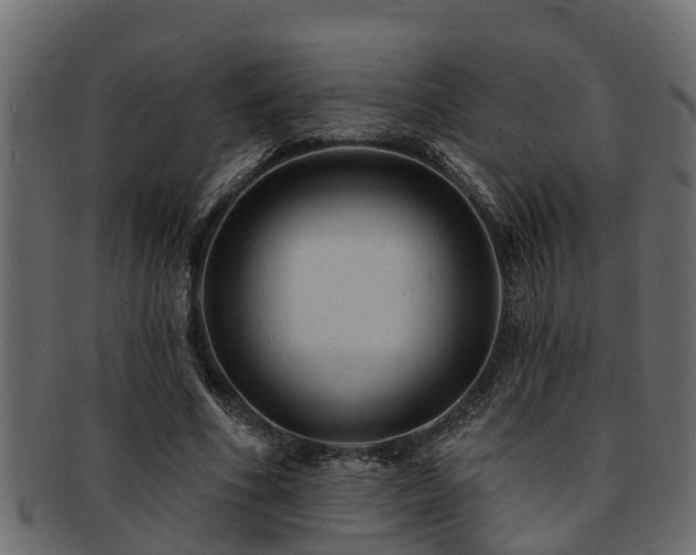 X0000093110586200709261252