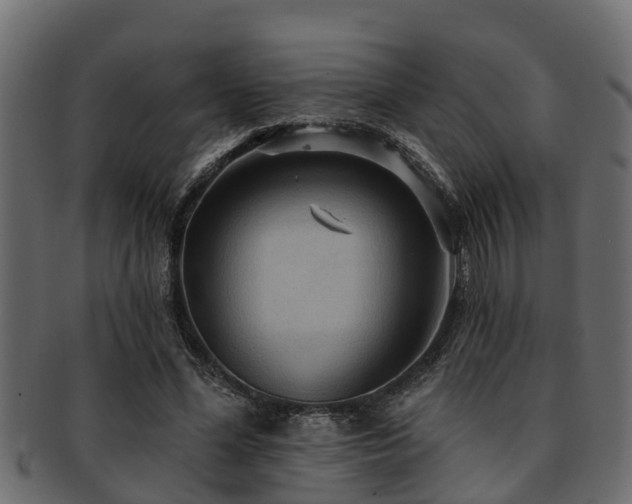 X0000093110588200709261252