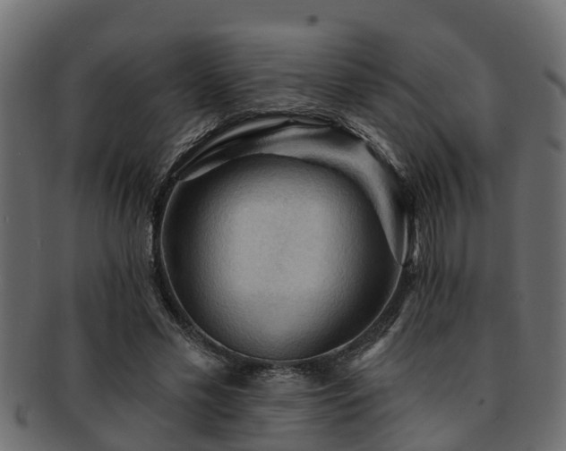 X0000093110589200709261252