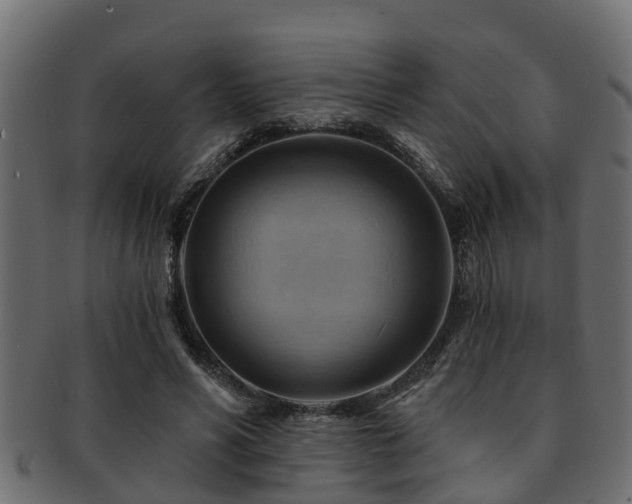 X0000093110590200709261252