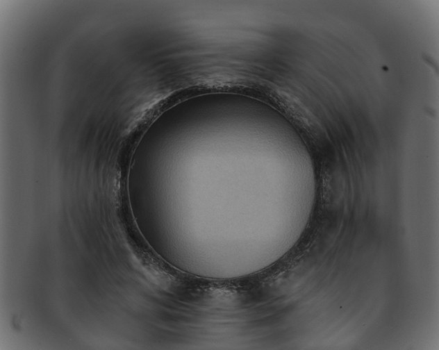 X0000093110592200709261252