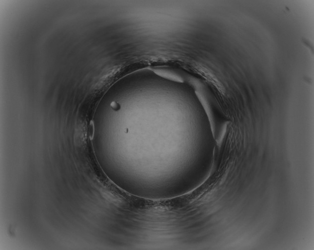 X0000093110593200709261252