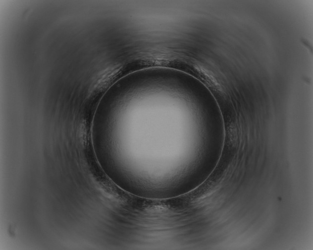 X0000093110594200709261252