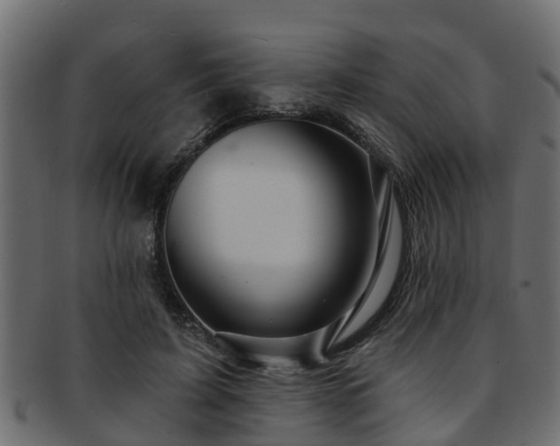 X0000093110595200709261252