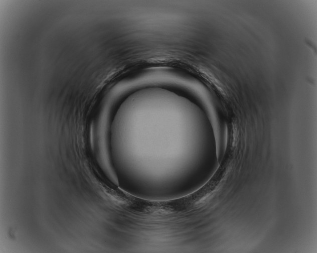X0000093110597200709261252