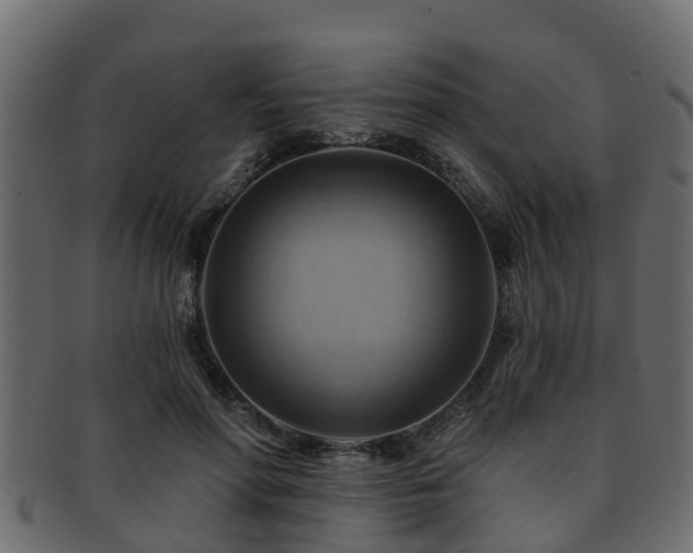 X0000093110598200709261252