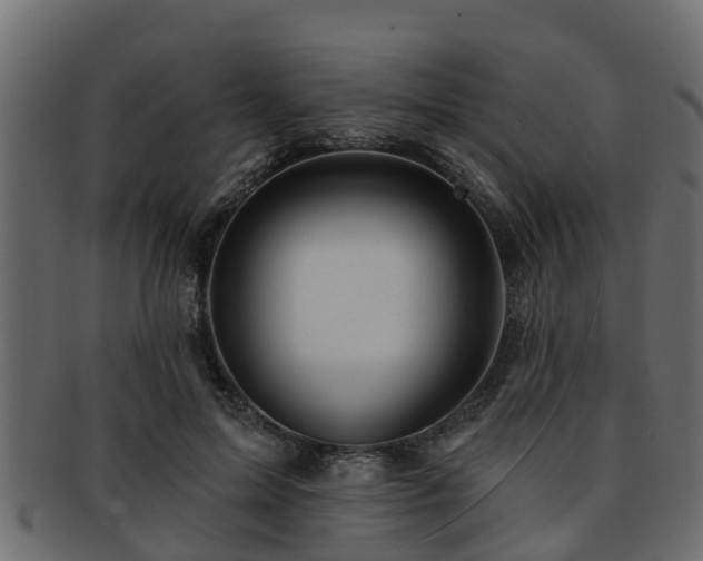 X0000093110599200709261252