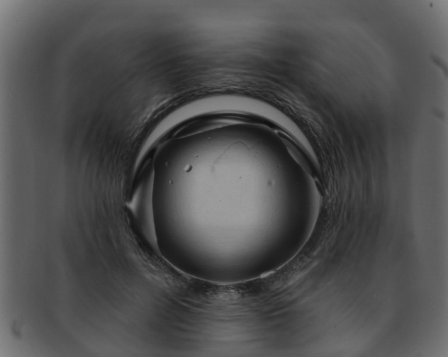 X0000093110600200709261252