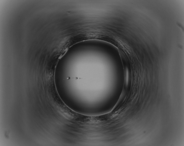 X0000093110601200709261252